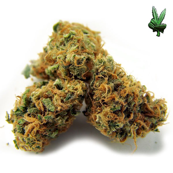 Pineapple Express (Hybrid)