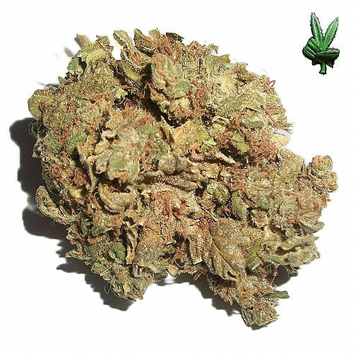 Afghan Kush (Indica)