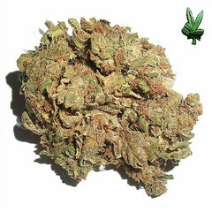 Afghan Kush (Indica)