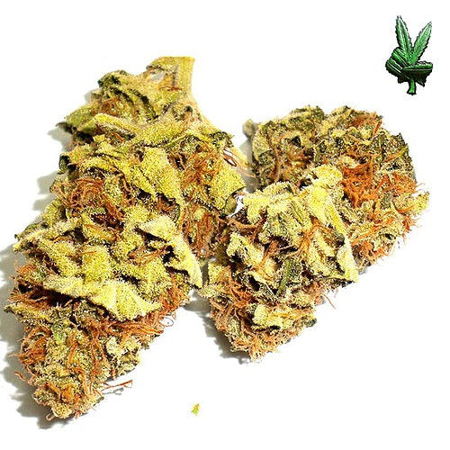Bubble Gum (Hybrid)