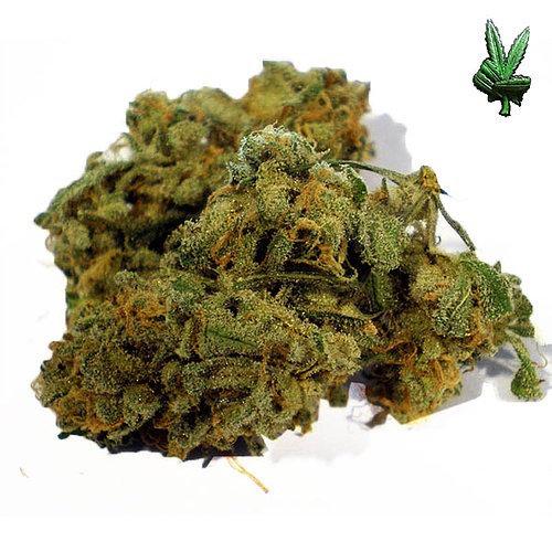 Cheese (Hybrid)
