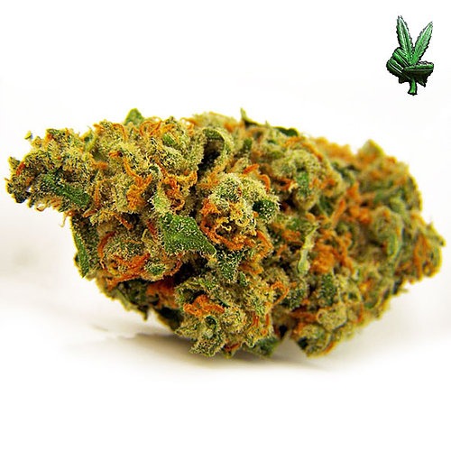 Jack Herer (Sativa)